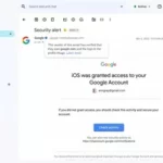 Google Launches Blue Checkmarks for Verified Brands in Gmail