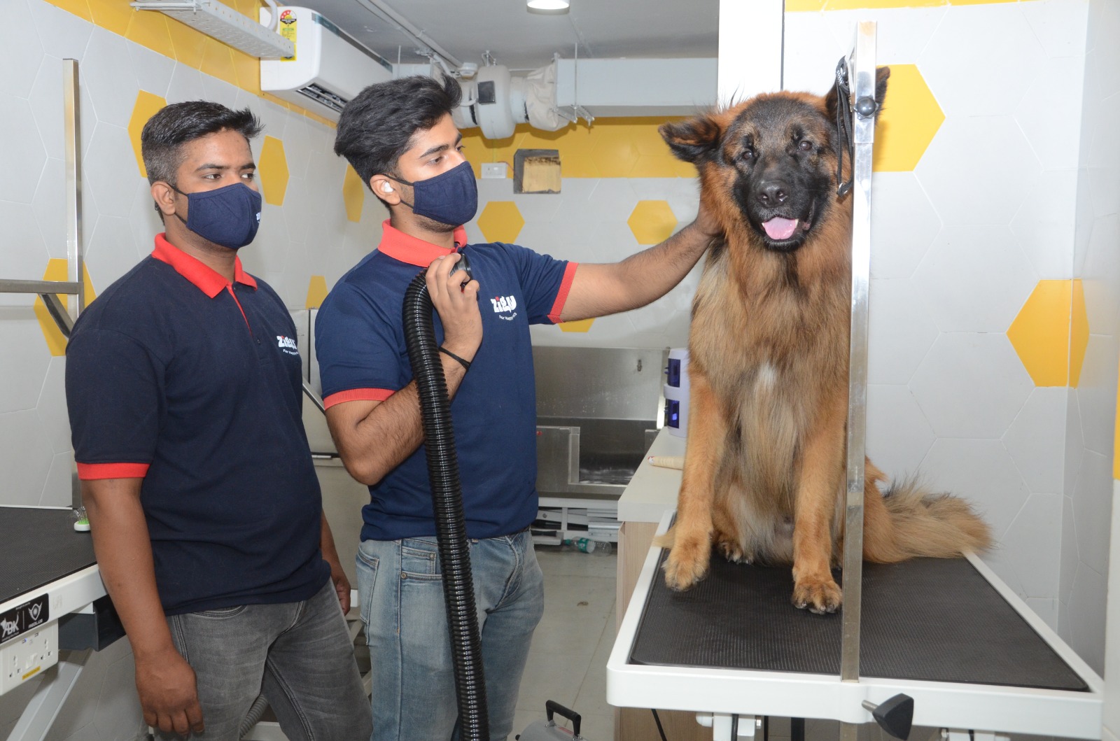 Zigly celebrates 2nd Anniversary, plans to expand in Tier 2 cities for pet care