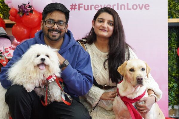 Zigly Brings Valentine's Fun to Pet Parents Across 5 Cities