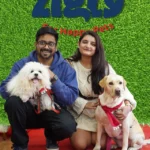 Zigly Donates Used Pet Accessories to Help Homeless Animals