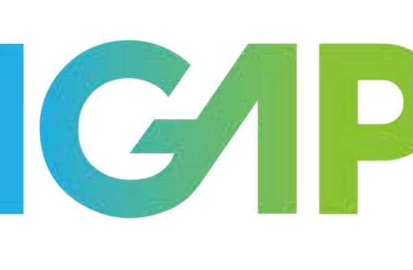 IGAP Releases Comprehensive Report on Social Media Transparency and Compliance