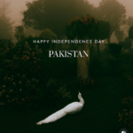 The Olio Stories Controversy