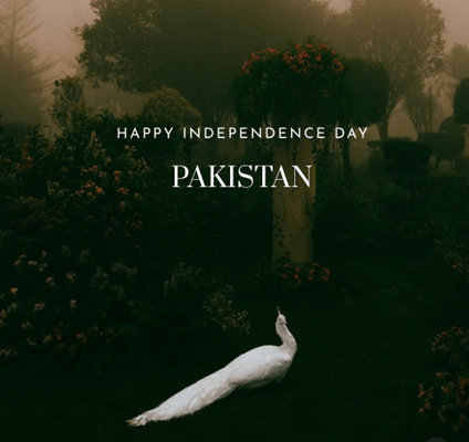 The Olio Stories Controversy