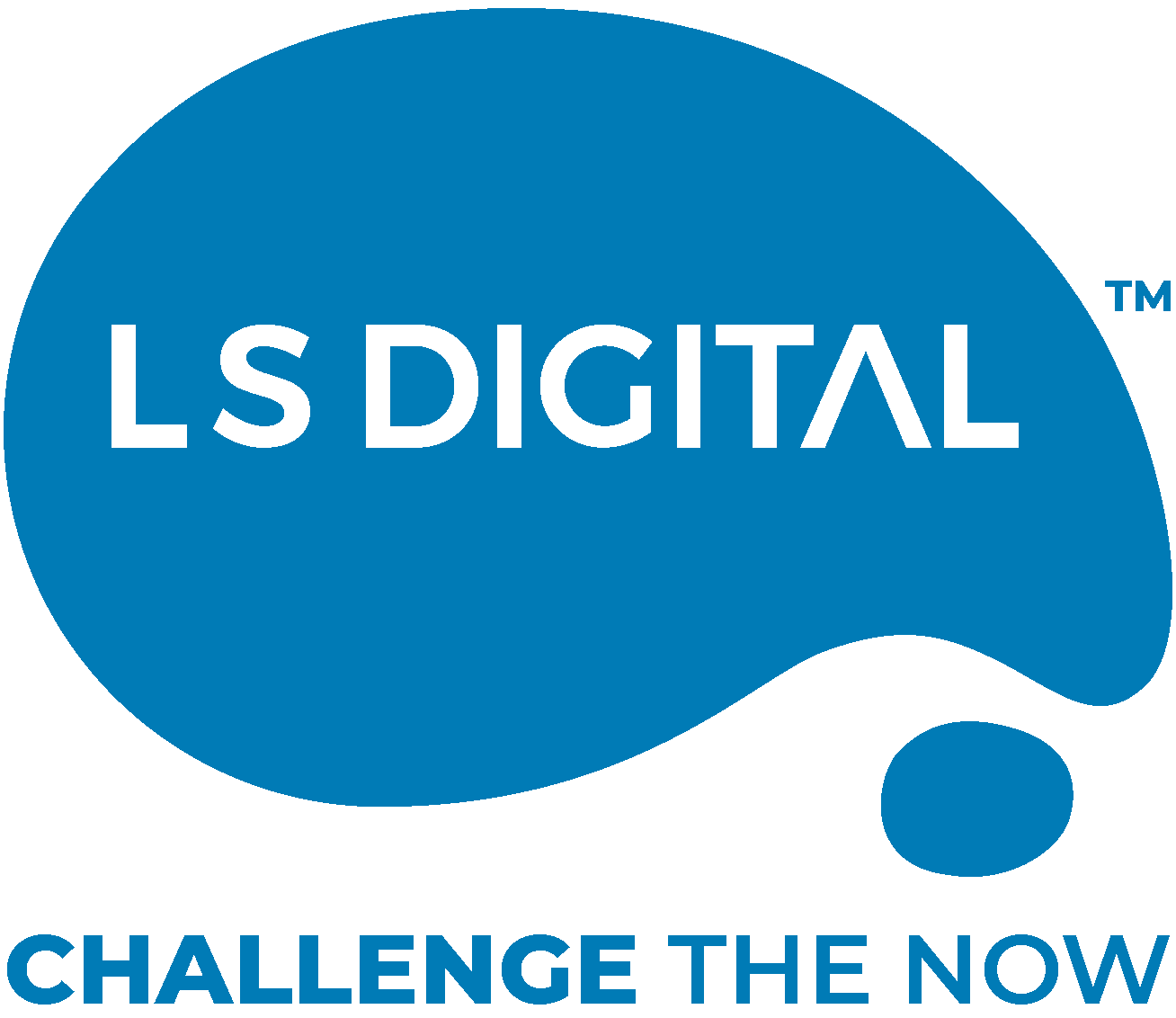 LS Digital Ads Data Hub implementations India
