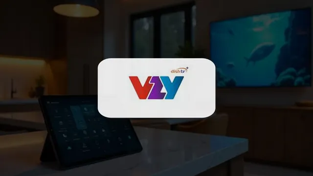 Dish TV's new service VZY aims to solve problem of fragmentation in TV ecosystem