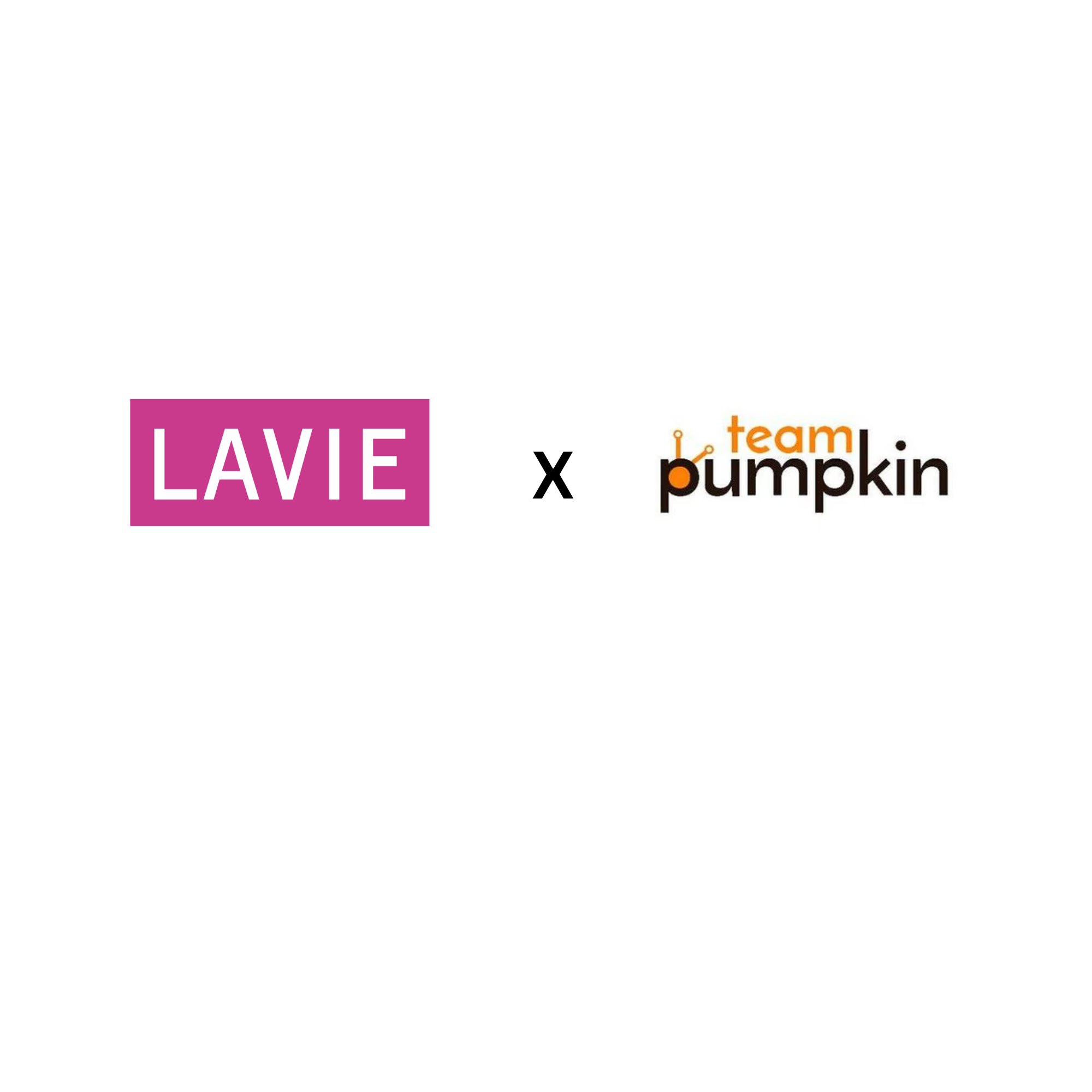 Team Pumpkin social media mandate for Lavie