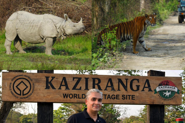 Kaziranga National Park wildlife tourism India