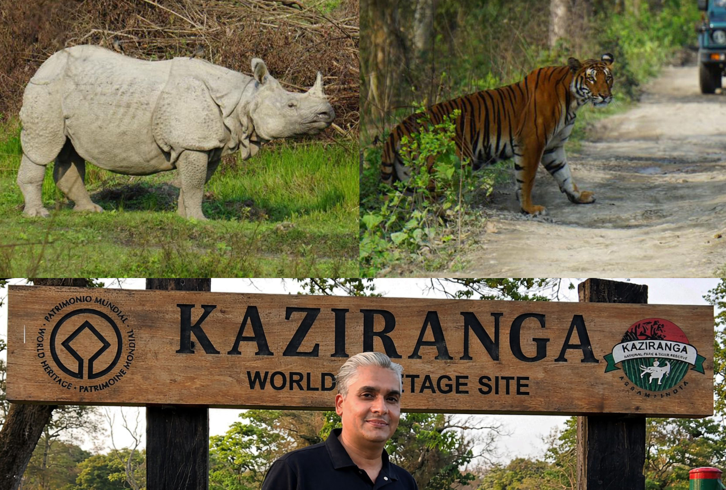 Kaziranga National Park wildlife tourism India