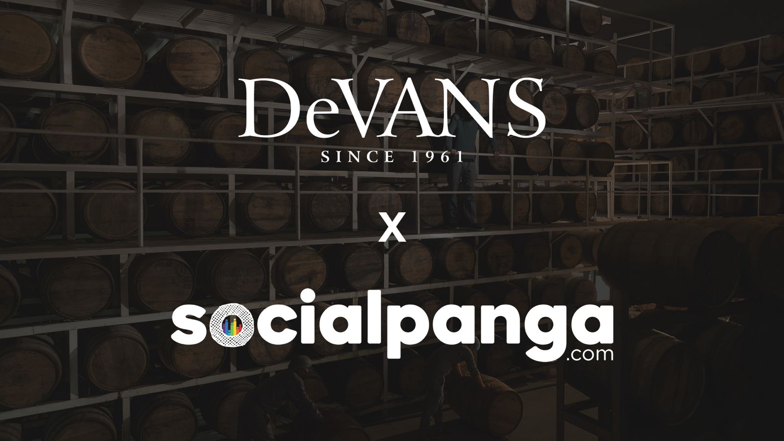 Social Panga wins digital mandate for DeVANS beer and gin brands